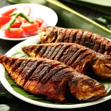 OPIEKACZ TOSTER GRILL DO KANAPEK SANDWICH PANINI TORTILLA MIĘSA RYBY MOCNY