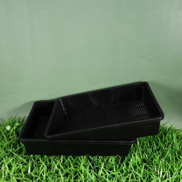 Трава для выращивания ростков фасоли 9 шт.