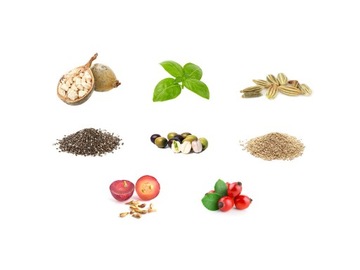 Blithe Vital Treatment 9 Essential Seeds эссенция