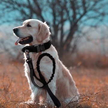 Тканевый тренировочный ошейник для собак myPUPIL, размер L