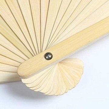 Prawdziwy Jedwabny Wachlarz do Tańca Brzucha Taniec 1,8m Długi