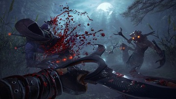 SHADOW WARRIOR 2 PL KLUCZ Steam