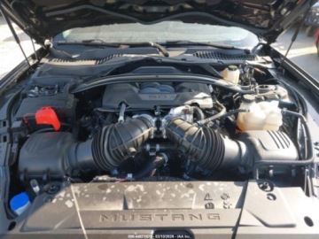 Ford Mustang VI 2024 Ford Mustang Gt Premium 2024 5.0 Benzyna 480KM, zdjęcie 8