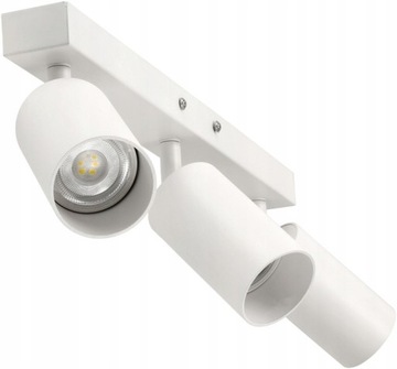 Потолочный светильник НАСТЕННЫЙ ЭКРАН регулируемый SPOT 3 GU10