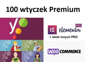 Пакет Yoast SEO PRO WooCommerce + многие другие плюсы