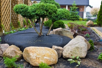 АГРО ТКАНЬ НЕТКАНАЯ ПРОТИВОРОРЯЧНАЯ АГРО ТКАНЬ ЧЕРНАЯ 100г КОВРИК ДЛЯ ЗАЩИТЫ ОТ СОРНЯКОВ 1,6х100м