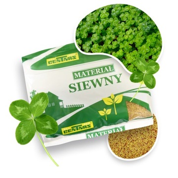 MIKROKONICZYNA drobnolistna KONICZYNA biała NASIONA 250g CENTNAS