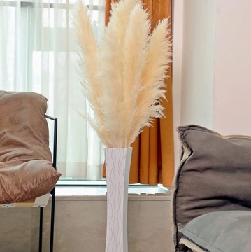 TRAWA PAMPASOWA SUSZONA DO WAZONU OZDOBNA PAMPASY