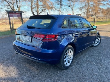 Audi A3 8V Hatchback 3d 1.6 TDI clean diesel 110KM 2014 Audi a3 Audi A3 Sporback 1.6 TDI 110KM Bang Olufsen Ambiente 1.6 Diesel, zdjęcie 2