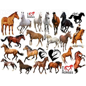 ВРЕМЕННЫЕ ВОДНЫЕ ТАТУ ДЛЯ ДЕТЕЙ ДЕТСКИЕ УЗОРЫ ЛОШАДЕЙ СУПЕР КАЧЕСТВО