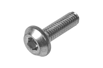 Śruba pompy oleju, 6x19 mm, Honda SH 150 i / PCX 125 - OEM