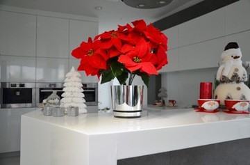 Donica26 большой Рождественский цветок Вифлеемской звезды