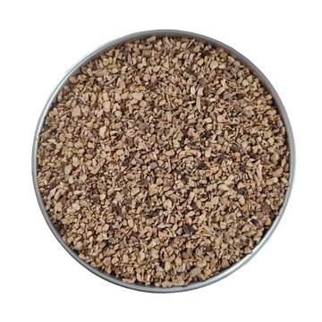 Rdestowiec japoński (Poligonum cuspidatum) 500g