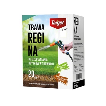 TRAWA DO UBYTKÓW REGINA UZUPEŁNIA UBYTKI NASIONA TRAW TARGET 500G