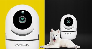 КАМЕРА ДЛЯ СОБАКИ И КОШКИ ДЛЯ НАБЛЮДЕНИЯ ПРИЛОЖЕНИЕ ДЛЯ ДОМАШНЕГО МОНИТОРИНГА БЕСПЛАТНАЯ SD-карта