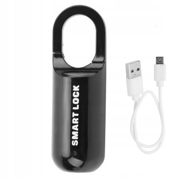 INTELIGENTNA KŁÓDKA ODCISK PALCA DOTYK USB