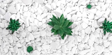 OTOCZAK kamień BIAŁY grys ZIEMIA 10KG OGRÓD żwir