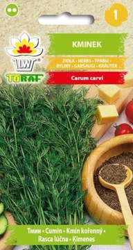 KMINEK ZWYCZAJNY do uprawy w ogrodzie nasiona