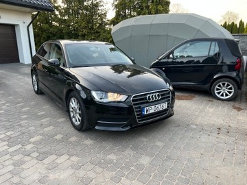 Audi A3 8V Hatchback 3d 1.6 TDI clean diesel 110KM 2014 Audi A3 2015R Skóra Klimatronik Tempomat Navi Alu Felgi 6-Biegów Bezwypadek, zdjęcie 28
