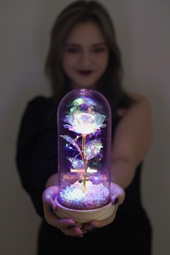 ВЕЧНАЯ РОЗА В СТЕКЛЕ, СВЕТЯЩИЙСЯ СВЕТОДИОДНЫЙ ПОДАРОК ​​НА ДЕНЬ МАТЕРИ, ЖЕНСКИЙ ДЕНЬ МАТЕРИ