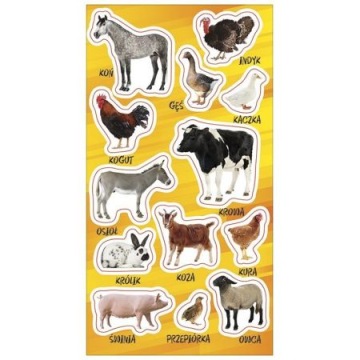 NAKLEJKI ZWIERZĘTA GOSP. DOMOWEGO 13 SZTUK RANOK