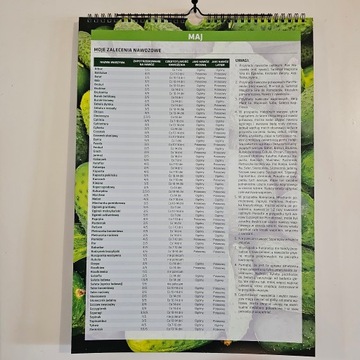 Kalendarz Warzywnika 2026 infouprawa Ogrodnika Terminarz Ścienny spiralny