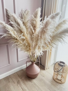 Пампасная трава сушеная Premium Lux XL бежевая 140 см для вазы Сухие травы