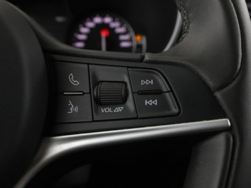 Alfa Romeo Stelvio SUV 2.0 Turbo 280KM 2018 Alfa Romeo Stelvio 2.0Turbo Super Q4 Nawigacja, zdjęcie 30