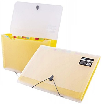 TECZKA D.RECT A4 5540 12 PRZEGRÓDEK ŻÓŁTA