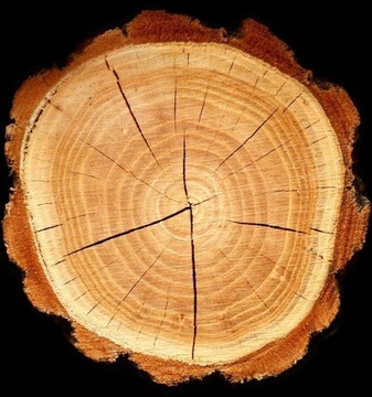 Yodeyma Caribbean мужские духи 50 мл