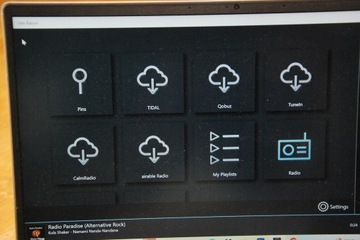 Линн Маджик DS/1 игрок