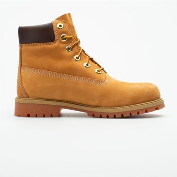 Timberland 6 Inch TB0129097131 36