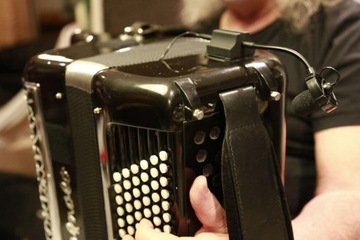 Prodipe AL21 - инструментальный микрофон