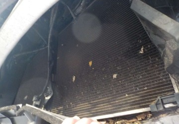 Toyota Corolla XII Hatchback 1.8 Hybrid 122KM 2019 Toyota Corolla Okazja 1.8 Hybryda 122KM, zdjęcie 7