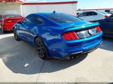 Ford Mustang VI 2021 Ford Mustang 2021 Ford Mustang EcoBoost Fastback 2.3 Benzyna 230KM, zdjęcie 2
