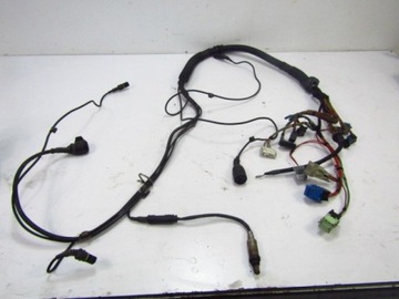 BMW 5 E39 SVAZEK INSTALACE MOTORU 1440316 4,4 V8