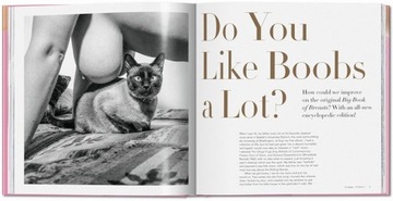 Большая книга груди