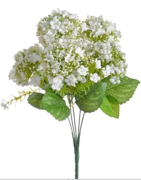 KALINA BIAŁA BUKIET DUŻE KWIATY 5 gałązek 40cm