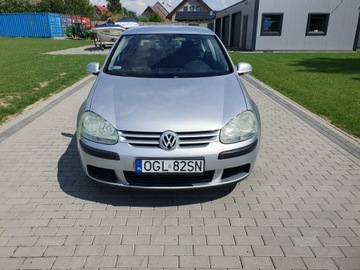 Volkswagen Golf V Hatchback 1.9 TDI 105KM 2004 Volkswagen Golf 1.9tdi 105KM 5 Drzwi Klima Raty, zdjęcie 4