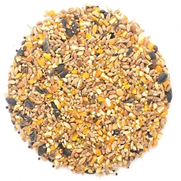 PASZA KARMA DLA KUR NIOSEK NIOSKA KOKOSZKA ZIARNO 20 KG EŁPOL 100% Quality