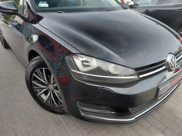 Volkswagen Golf VII Hatchback 3d 2.0 TDI BlueMotion Technology 150KM 2016 Volkswagen Golf Allstar Navi Klimatronik Radar LED 2xPDC 2.0 Diesel 150KM, zdjęcie 3