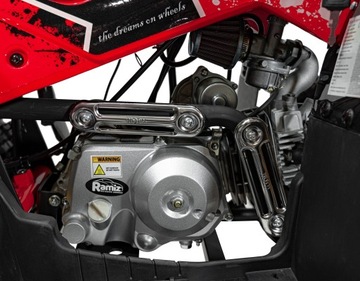 Детский БЕНЗИНОВЫЙ квадроцикл RENEGADE 125CC с сигналом БЫСТРО до 35 км/ч