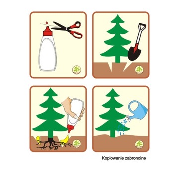 МИКОРБИЯ ДЛЯ ХВОЙНЫХ, микориза