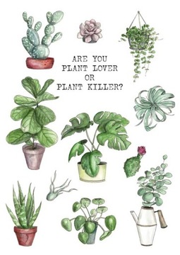 PLAKAT „ARE YOU PLANT LOVER OR PLANT KILLER?” A3