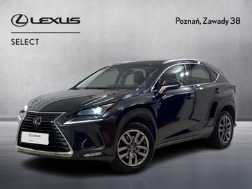 Lexus NX I SUV Facelifting 300 238KM 2019 Lexus NX 300 Prestige AWD I (2014-2021) Lexus NX 3