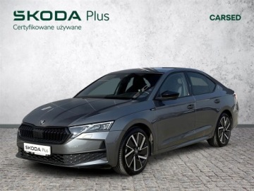 Skoda Octavia IV Liftback 1.5 TSI EVO 150KM 2024 Skoda Octavia 1.5TSI 150KM Sportline DSG | ACC, Pa