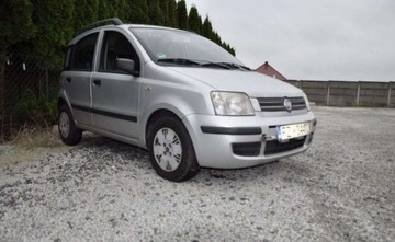 Fiat Panda II Hatchback 5d 1.2 8v 60KM 2008 Fiat Panda bez papierów na części, zdjęcie 2