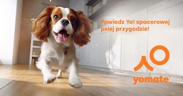 MAŁY PIES do 15 KG - LEKKA SMYCZ dla PSA / AUTOMATYCZNA MOCNA TAŚMA ZWIJANA