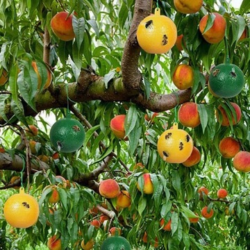 8 шт. ПОДВЕСНЫЕ ШАРИКИ ДЛЯ ФРУКТОВЫХ МУХ ОСА НА УЛИЦЕ