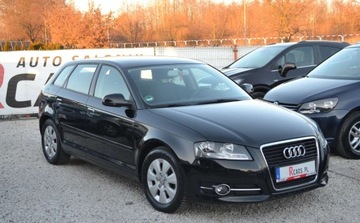 Audi A3 8P Hatchback 3d 1.6 TDI 105KM 2010 Audi A3 Sportback LIFT - climatronic - oplacony - gotowy do rejestracji, zdjęcie 8